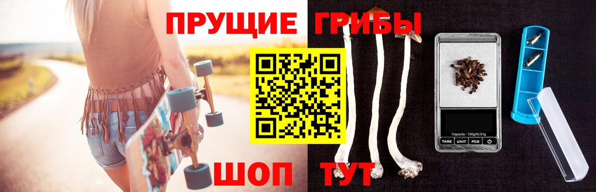 Псилоцибиновые грибы прущие грибы  Вход с VPN  Галлюциногенные грибы мицелий  Пушкино 